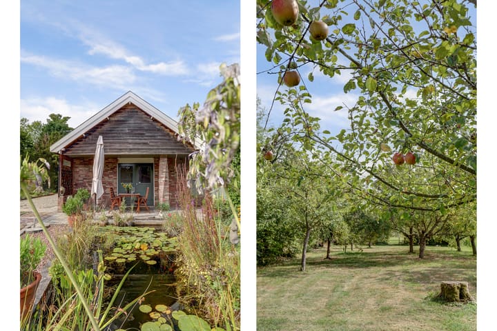 Foto 9 van Krangstraat 9