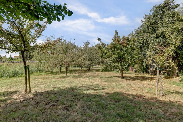 Foto 16 van Krangstraat 9