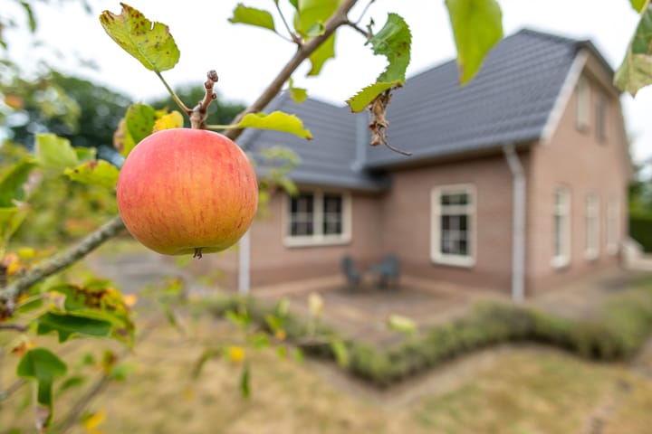 Foto 5 van Zaagpad 3