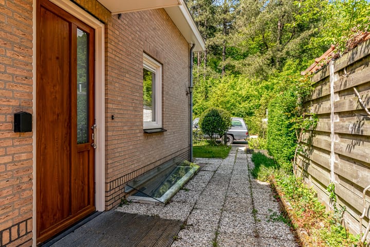 Foto 7 van Duinpad 2-A