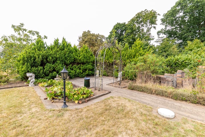 Foto 39 van Zaagpad 3