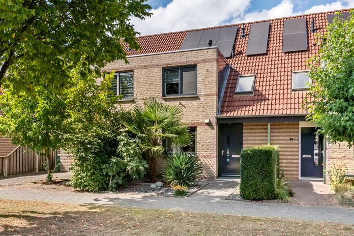 Foto 1 van Duifkruid 109