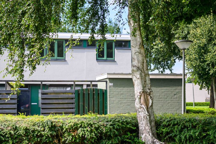 Foto 1 van Pallasstraat 225