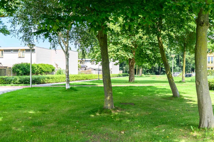 Foto 3 van Pallasstraat 225