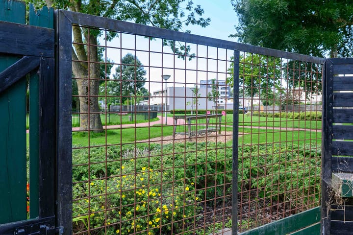 Foto 27 van Pallasstraat 225