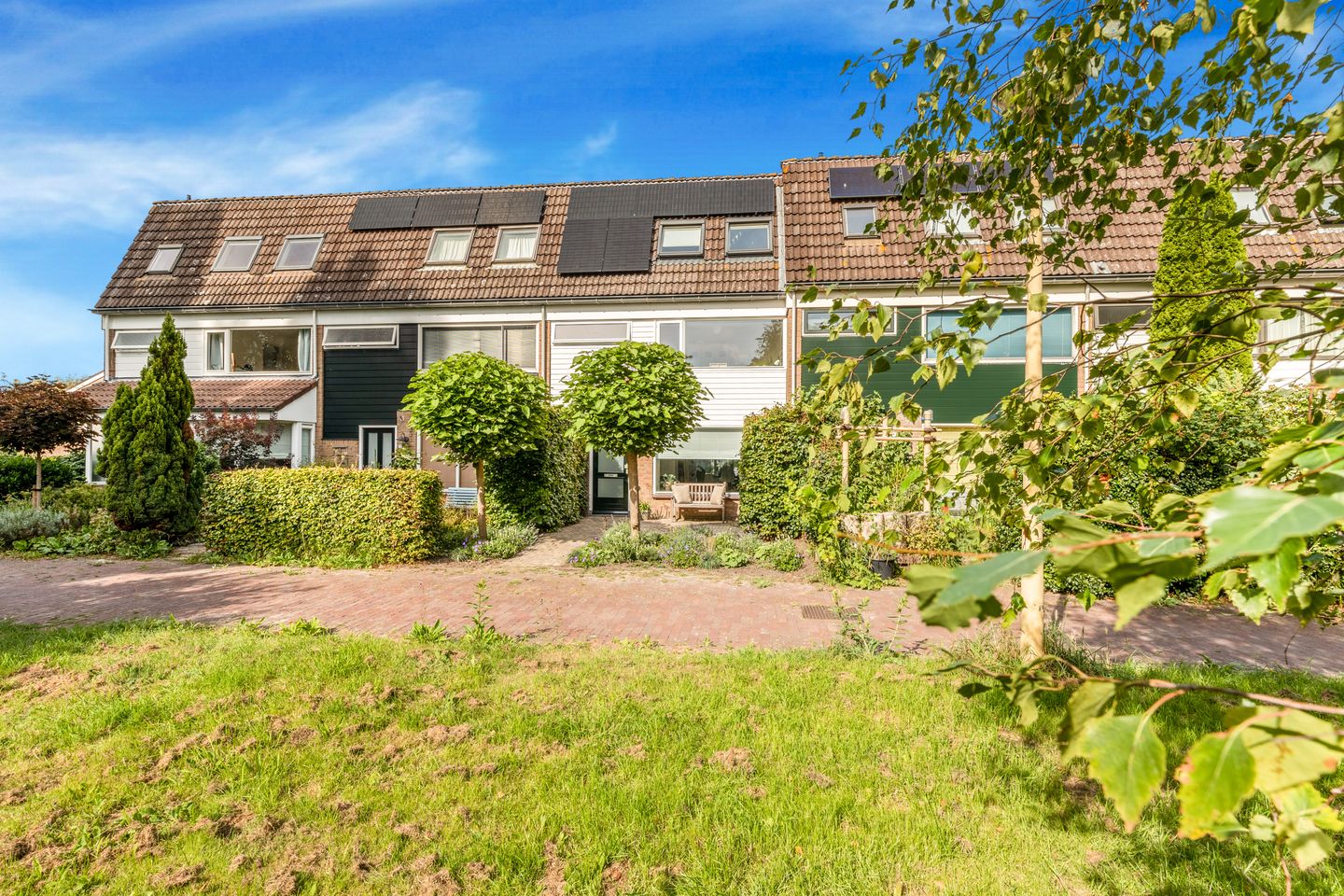 Foto 5 van Boterbloem 20