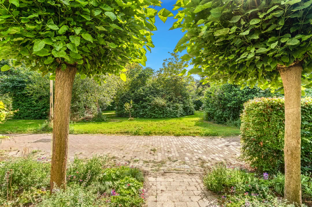 Foto 7 van Boterbloem 20