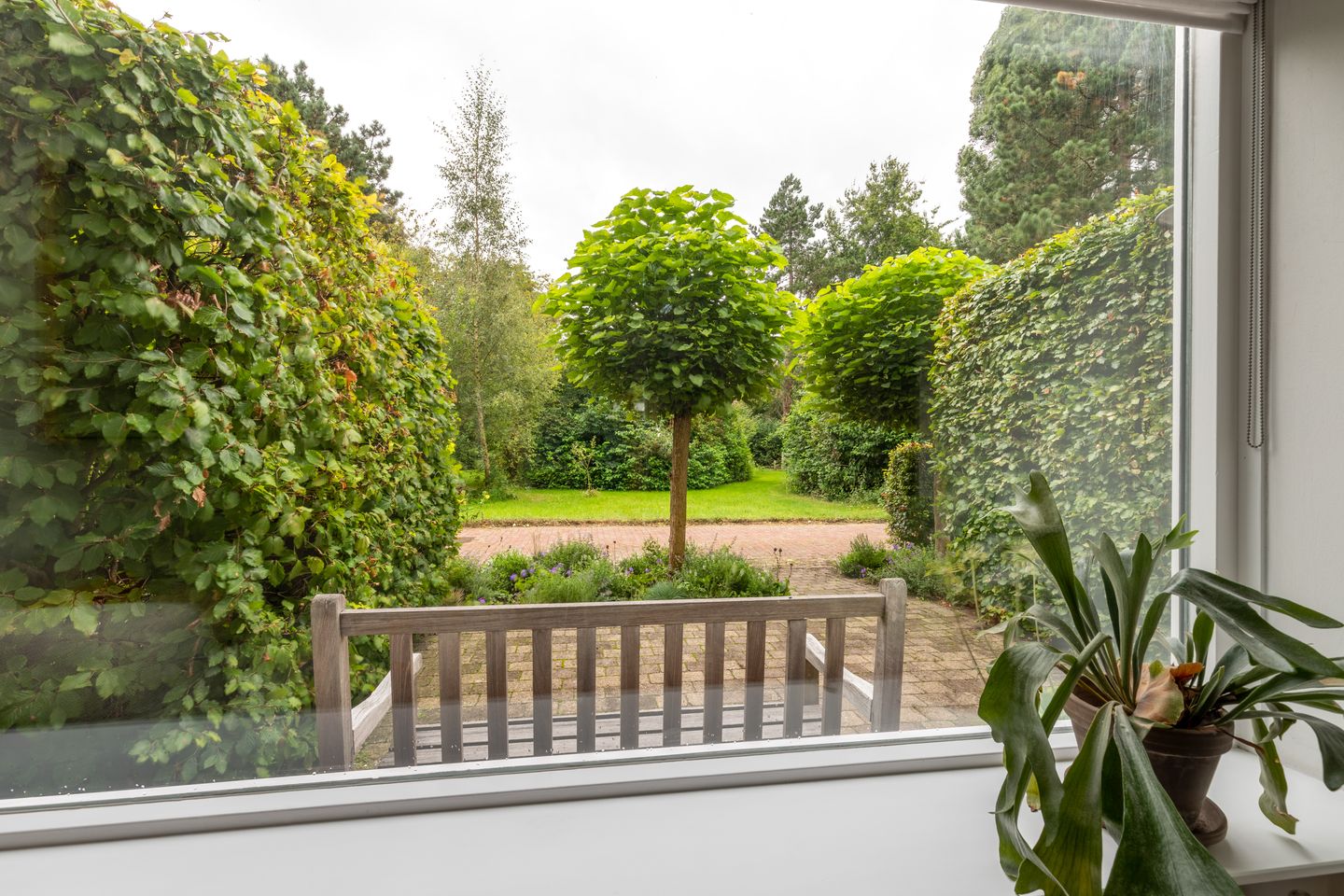 Foto 14 van Boterbloem 20