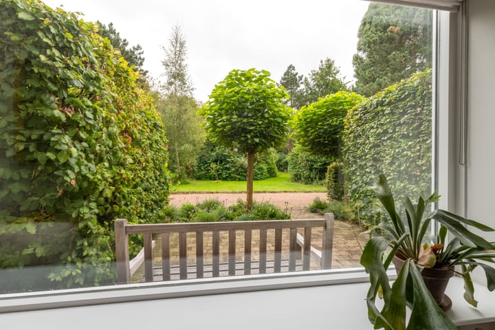 Foto 14 van Boterbloem 20