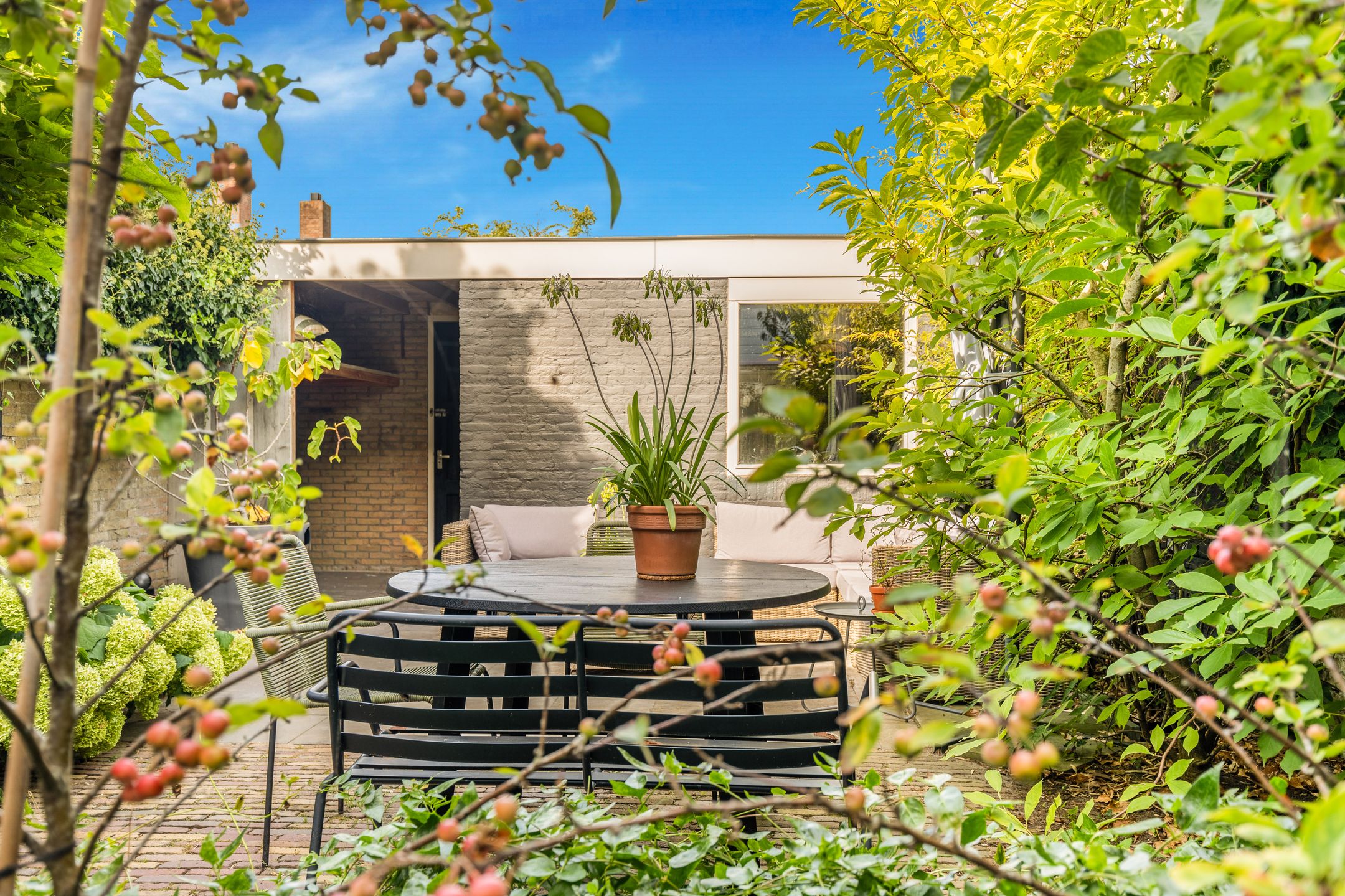 Foto 42 van Boterbloem 20