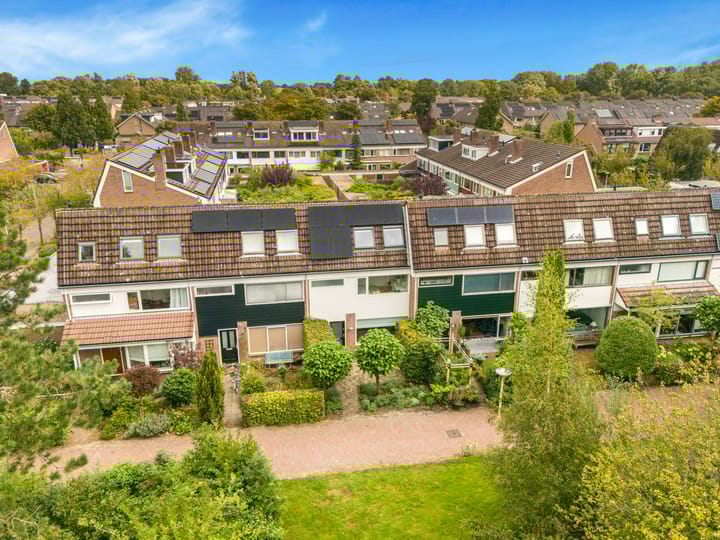 Foto 46 van Boterbloem 20