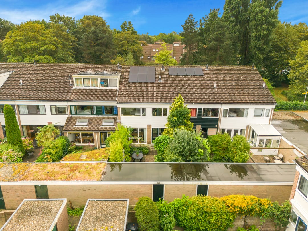 Foto 47 van Boterbloem 20