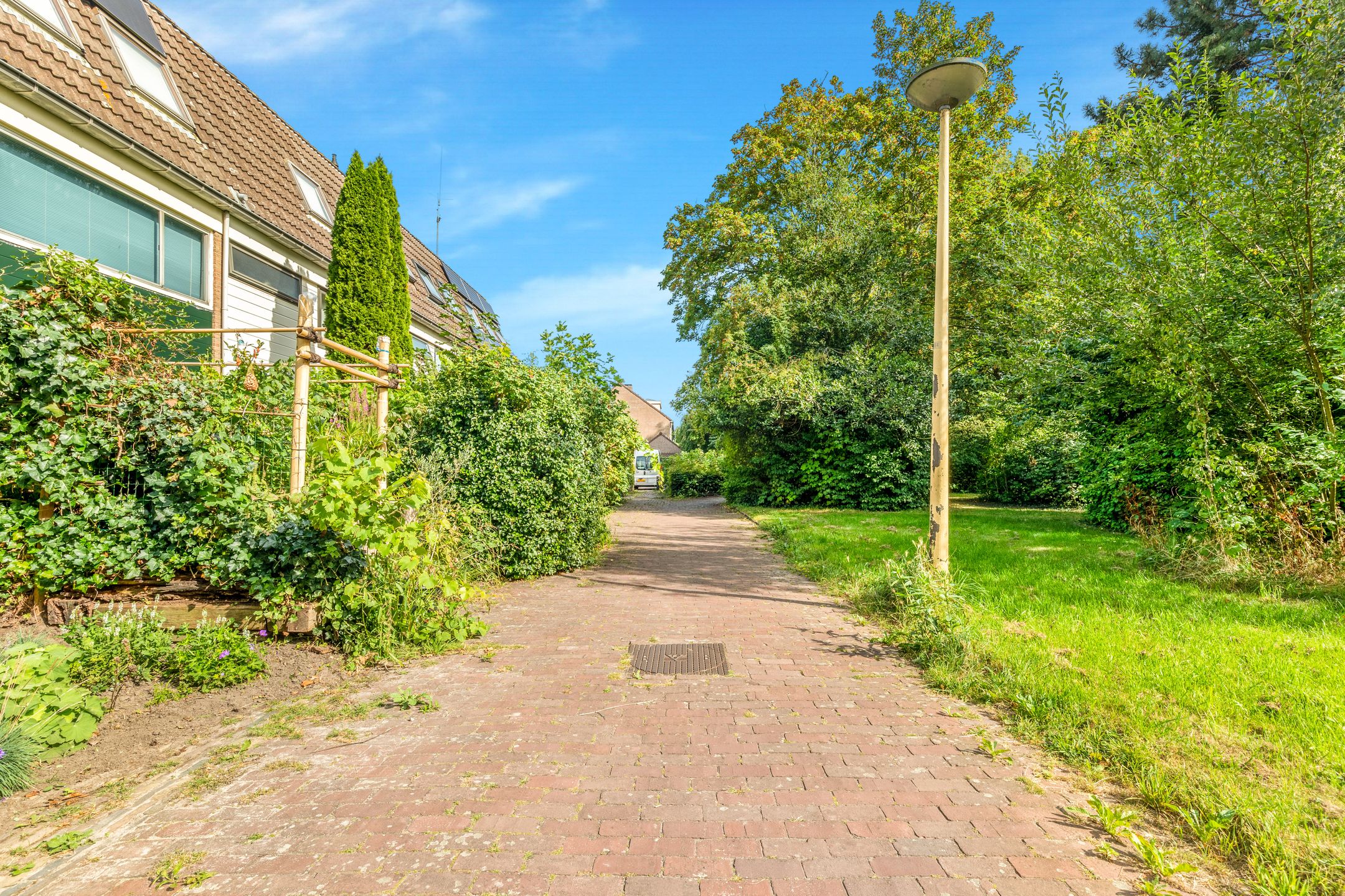 Foto 51 van Boterbloem 20