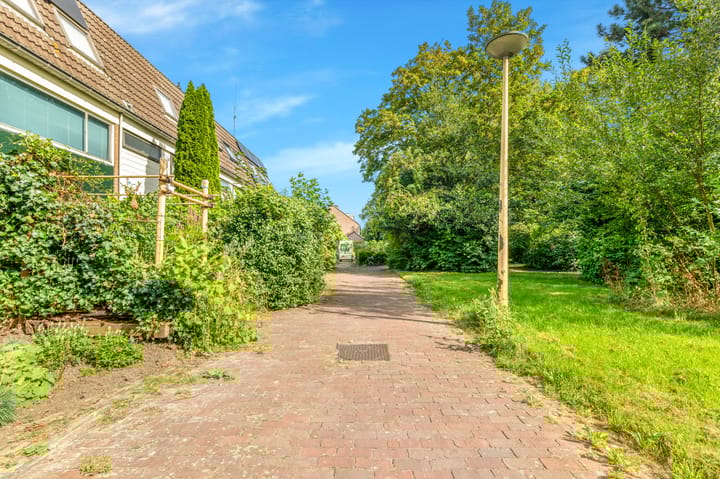 Foto 51 van Boterbloem 20