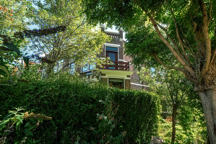 Foto 47 van Spanjaardslaan 105