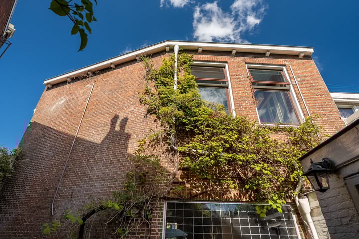 Foto 53 van Spanjaardslaan 105