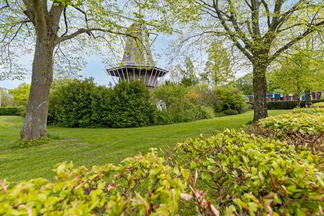 Photo 43 of Nieuwpoortstraat 86-D14