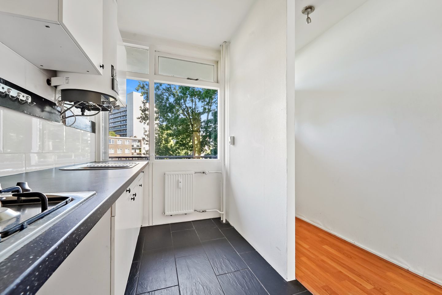 Foto 10 van Elviraland 194