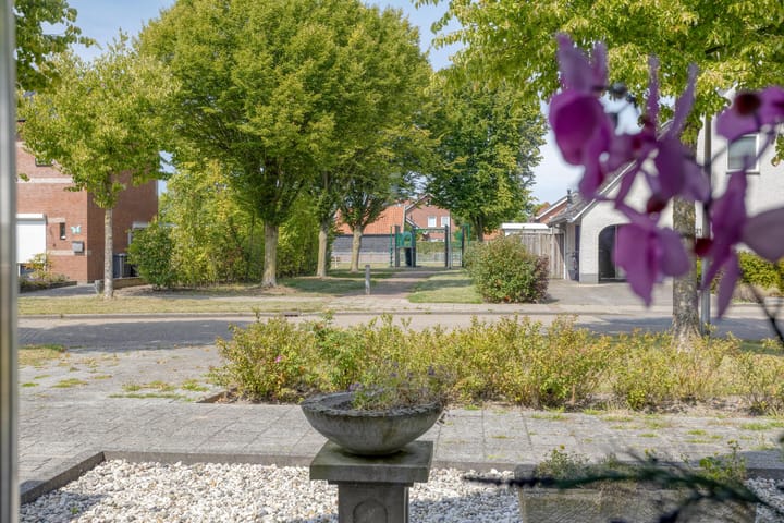 Foto 5 van de Kievit 136-B