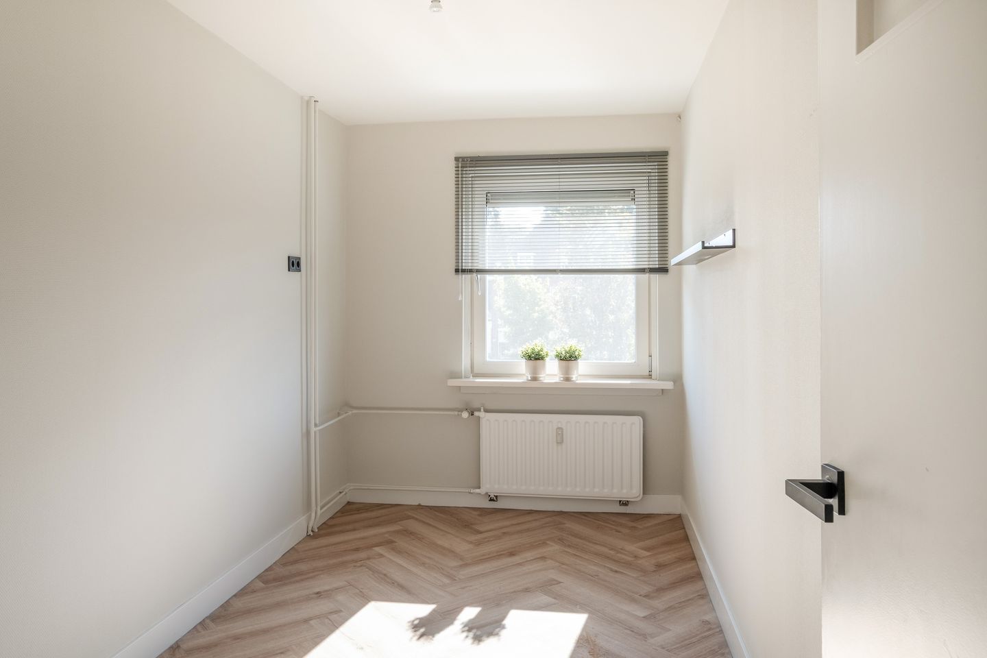 Photo 19 of Oliemolensingel 218