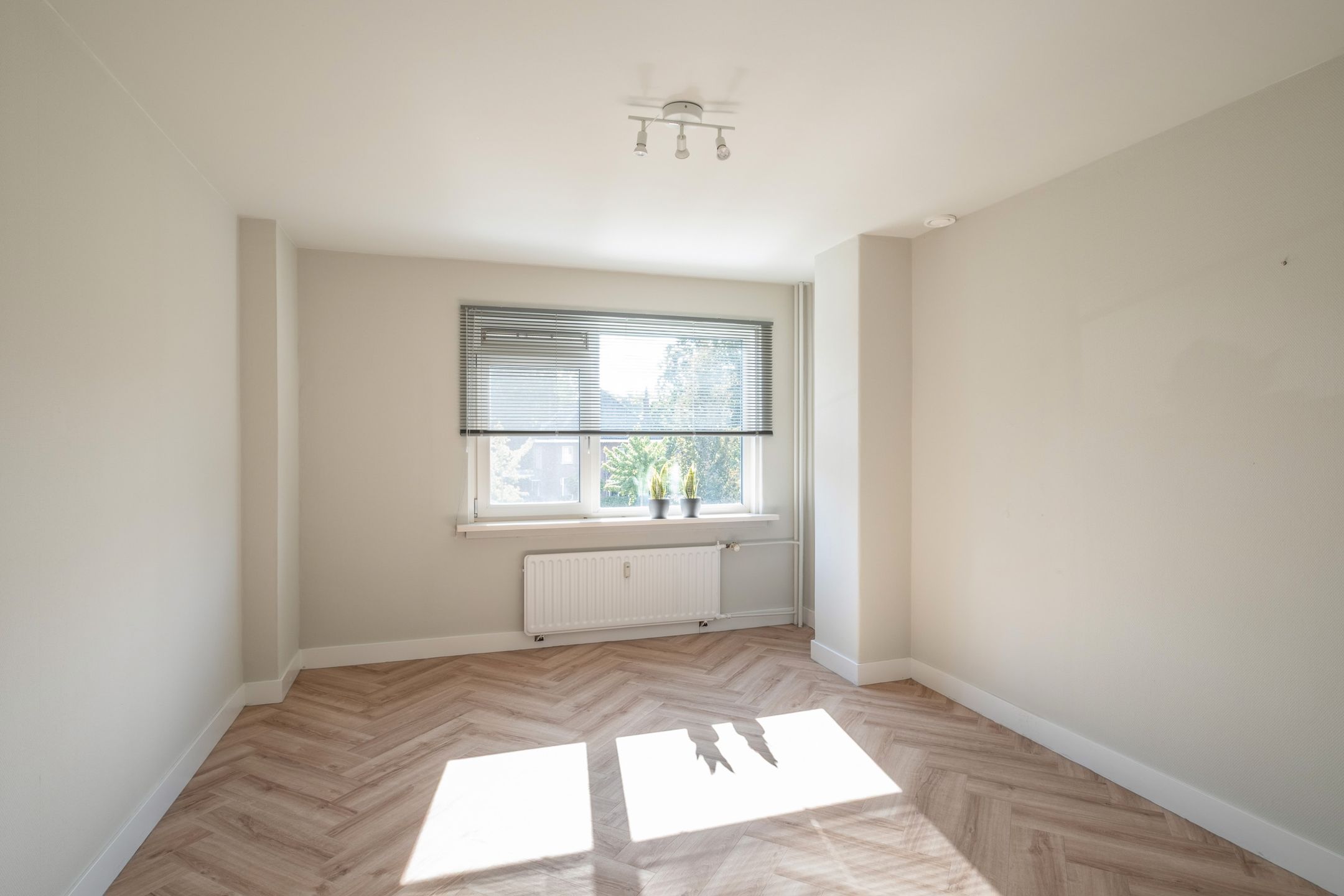 Photo 21 of Oliemolensingel 218