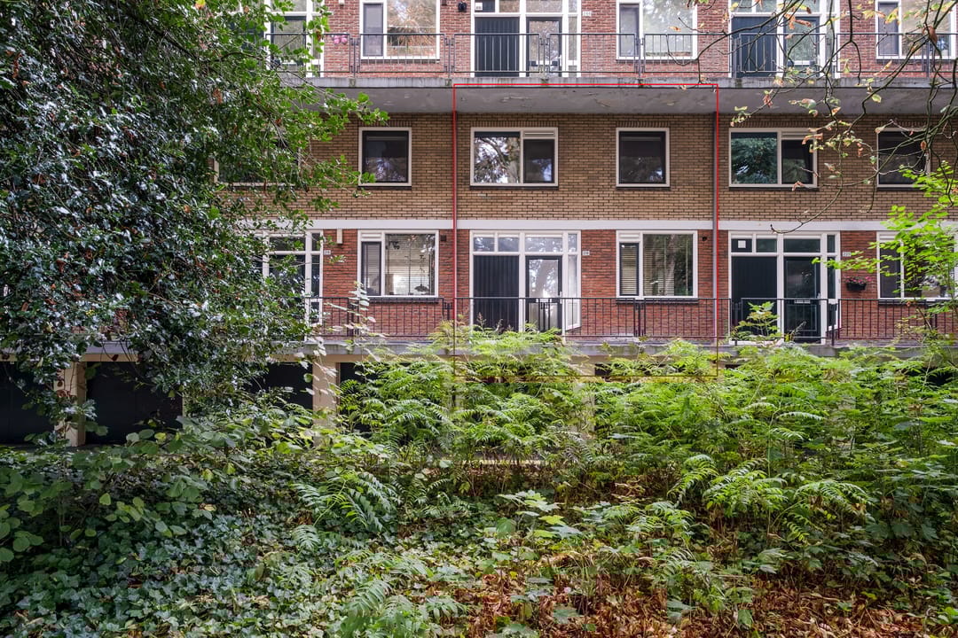 Photo 28 of Oliemolensingel 218