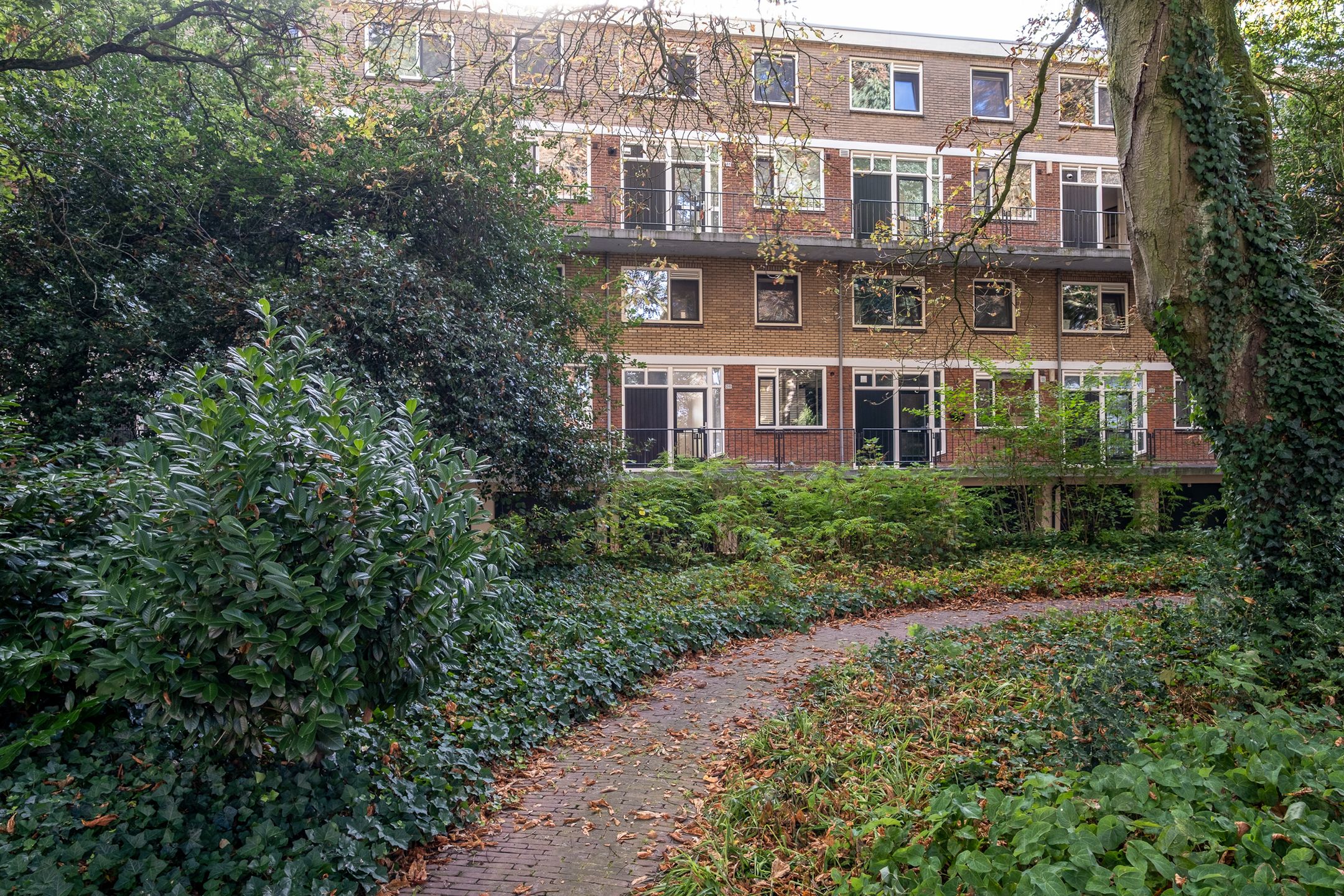 Photo 30 of Oliemolensingel 218