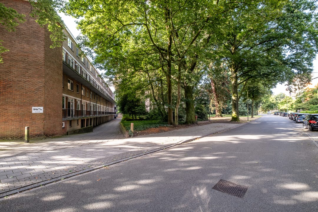 Photo 31 of Oliemolensingel 218