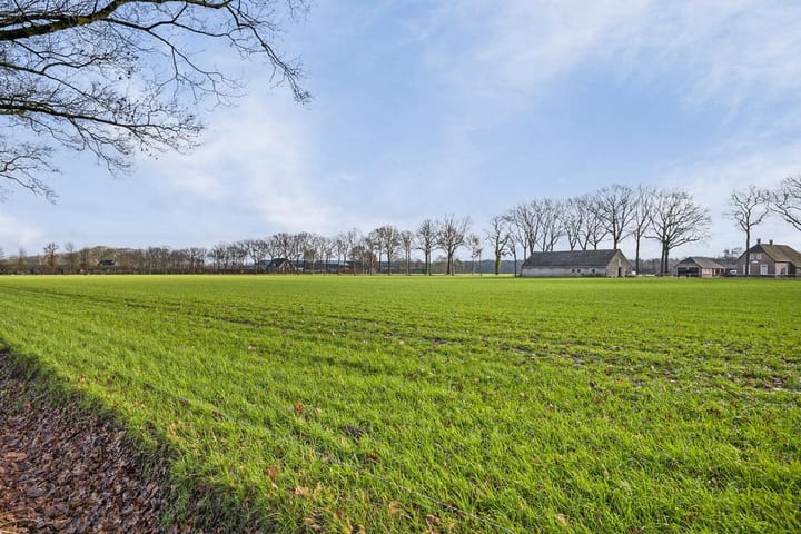 Foto 64 van De Bleek 16