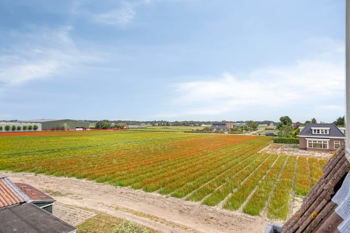 Foto 29 van Torenlaan 15