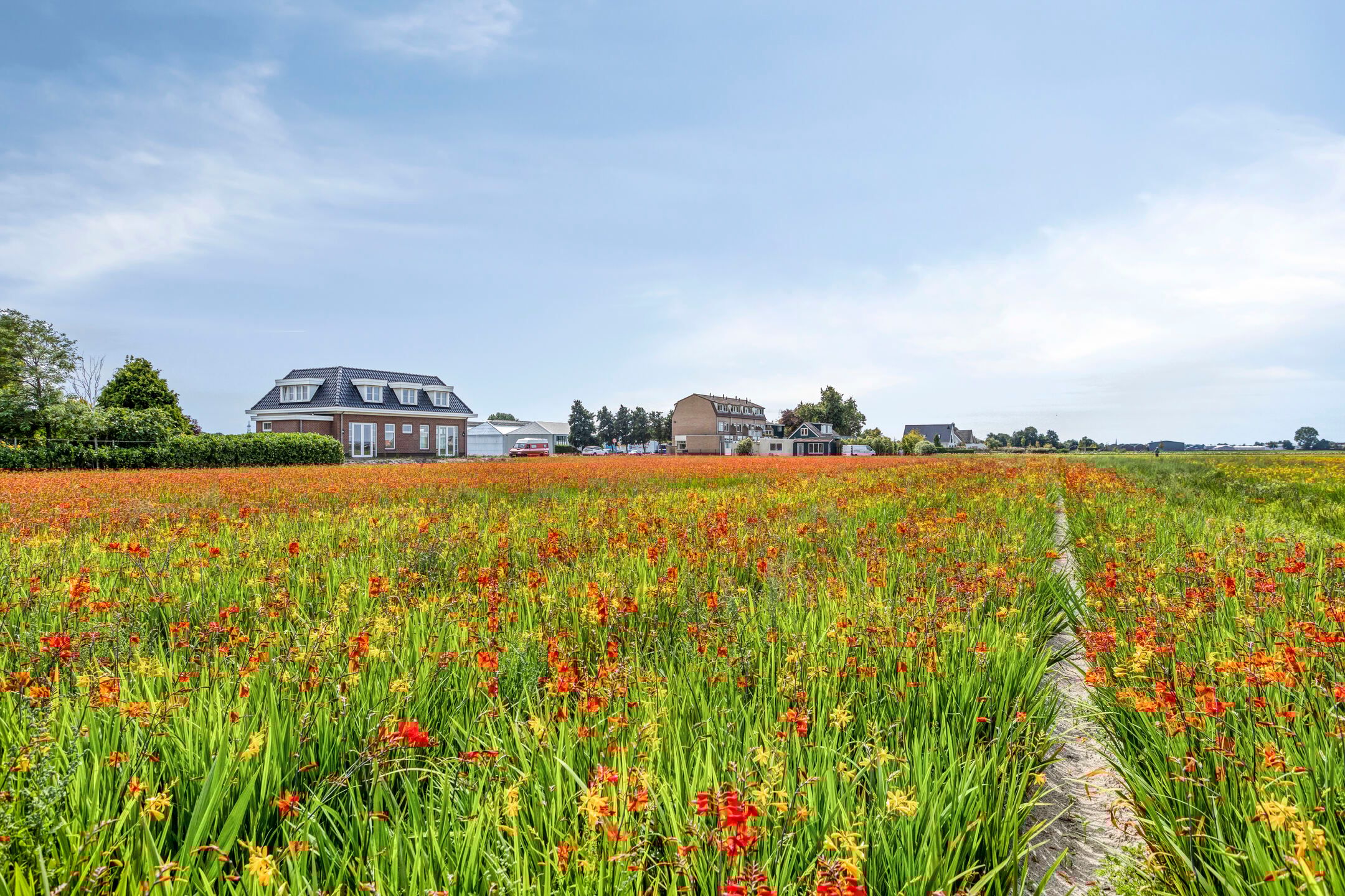 Photo 36 of Torenlaan 15