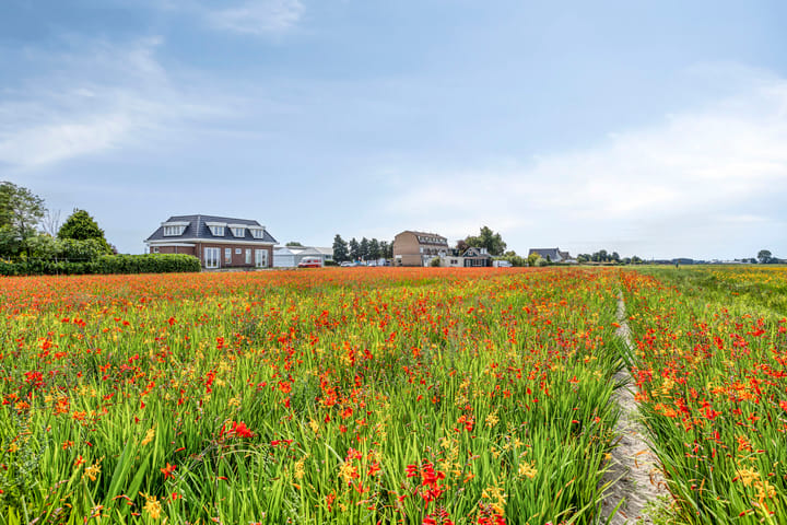 Foto 36 van Torenlaan 15