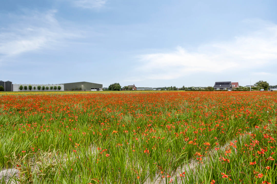 Photo 37 of Torenlaan 15