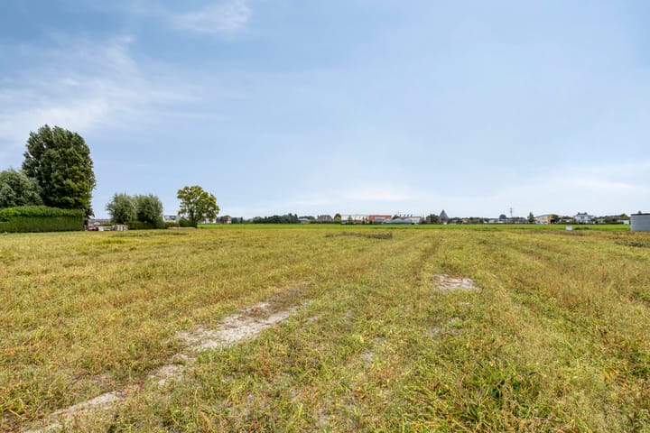 Foto 40 van Torenlaan 15