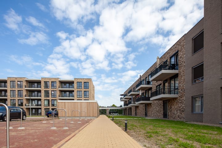 Foto 7 van Marnix Staete