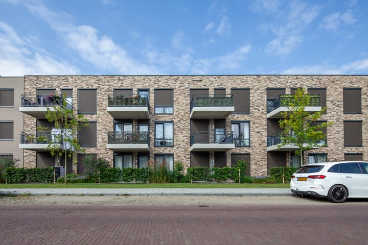 Foto 12 van Marnix Staete