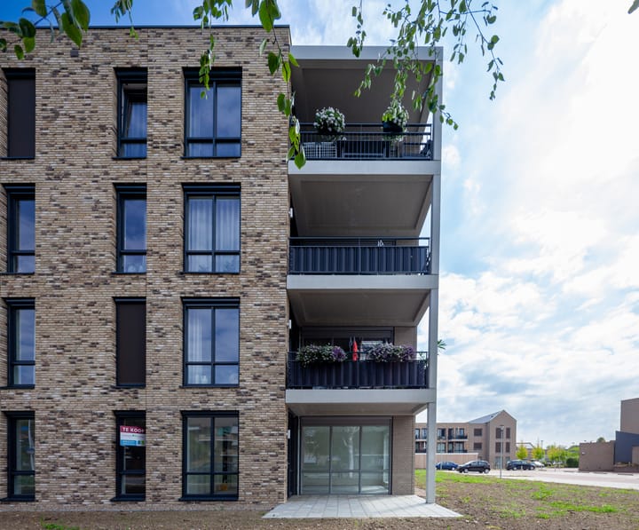 Foto 18 van Marnix Staete