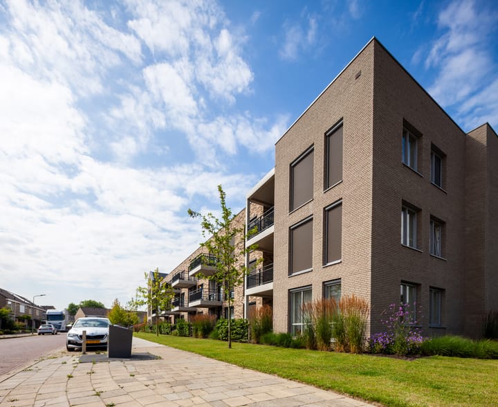 Foto 14 van Marnix Staete