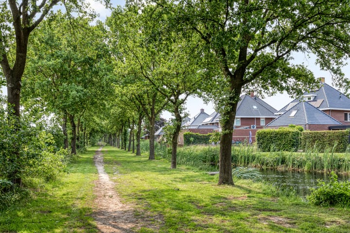 Foto 50 van Koningsveld 45