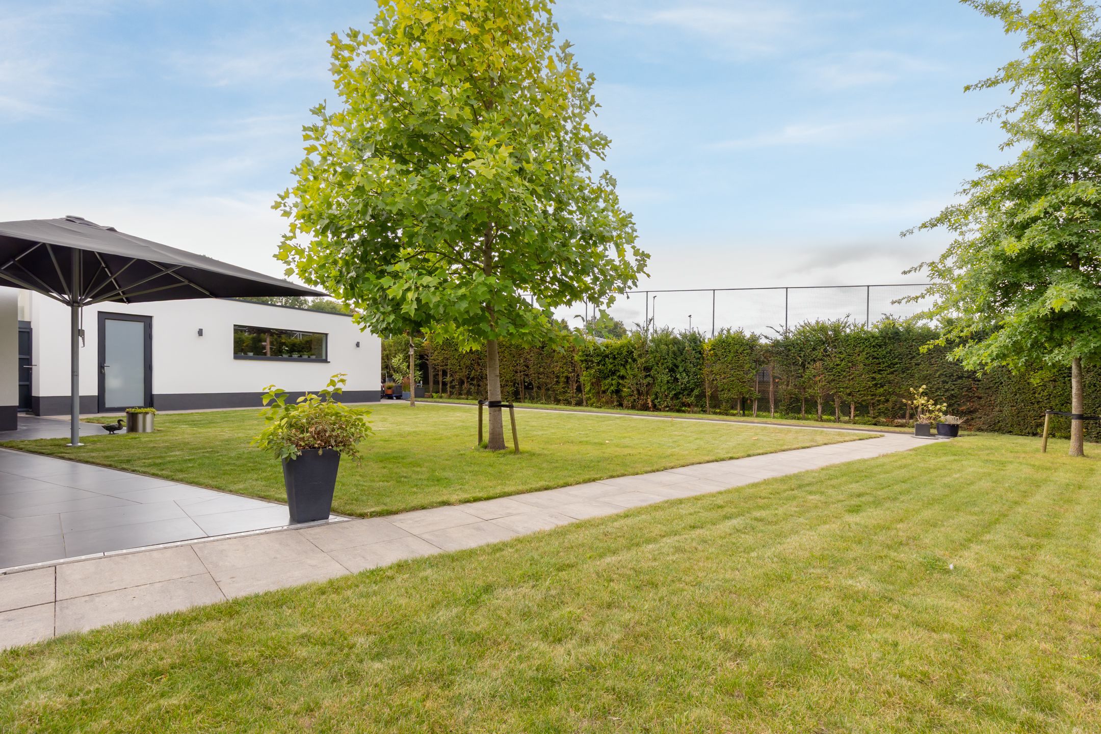 Foto 36 van Andersonstraat 14