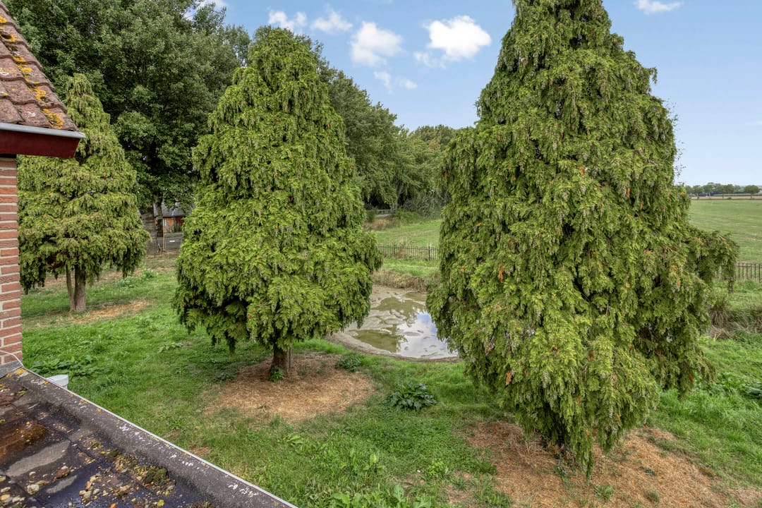 Photo 38 of Molenstraat 11