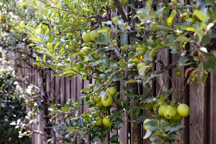 Foto 36 van Reeststraat 11