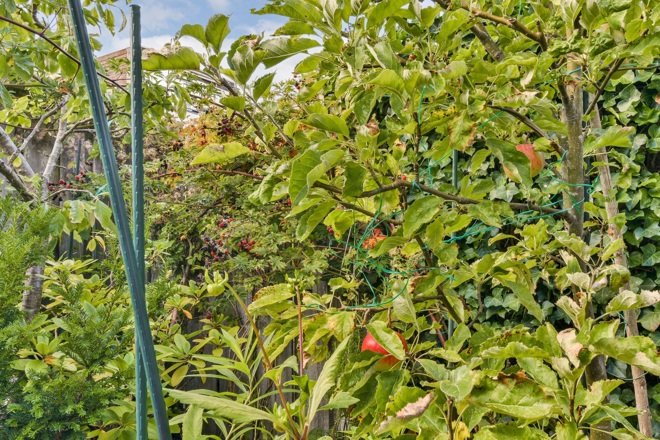 Foto 27 van A. Noordewier-Reddingiuslaan 27