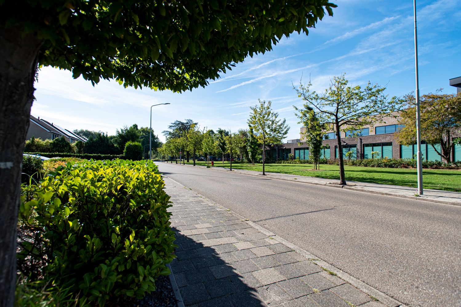 Foto 33 van Prof. Eykmanlaan 41