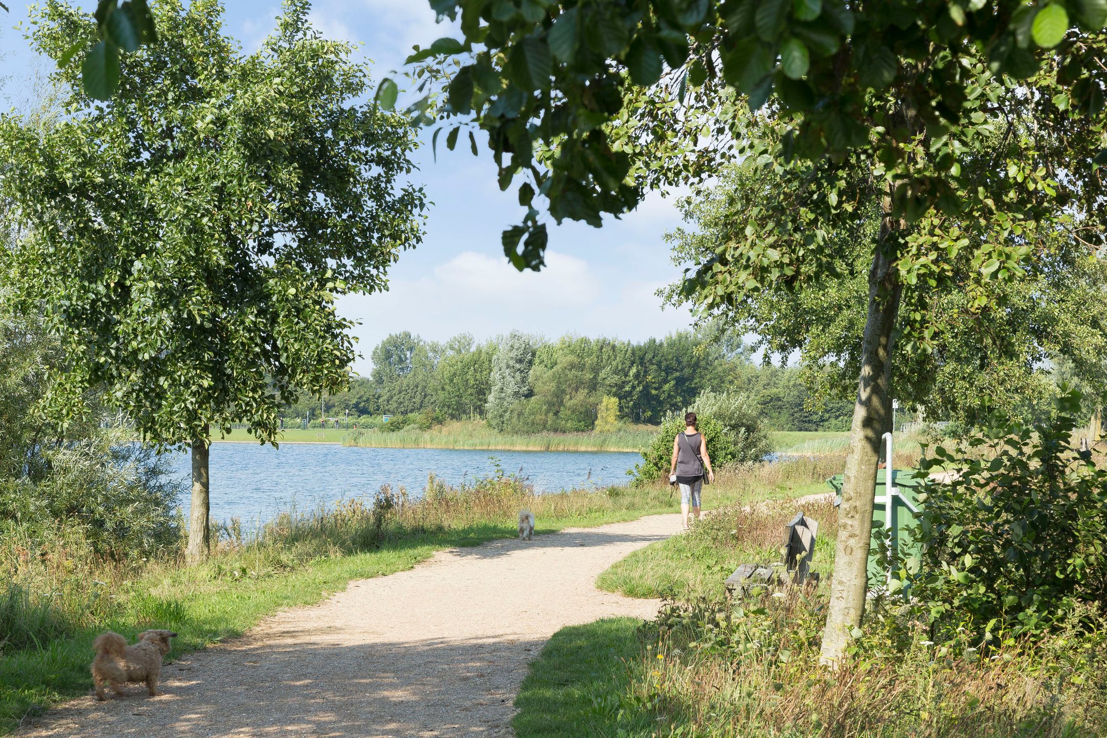 Photo 57 of Manenburgdreef 33