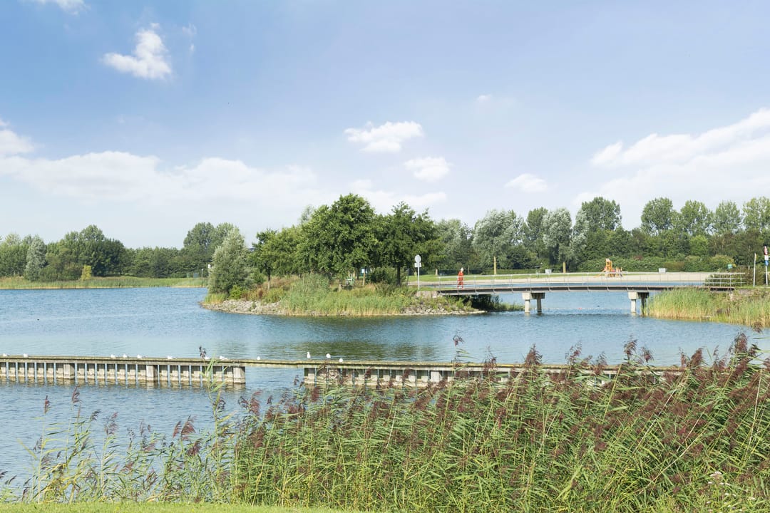 Photo 58 of Manenburgdreef 33