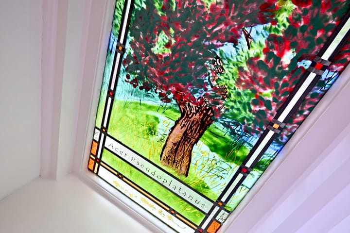 Foto 12 van Esdoornlaan 15