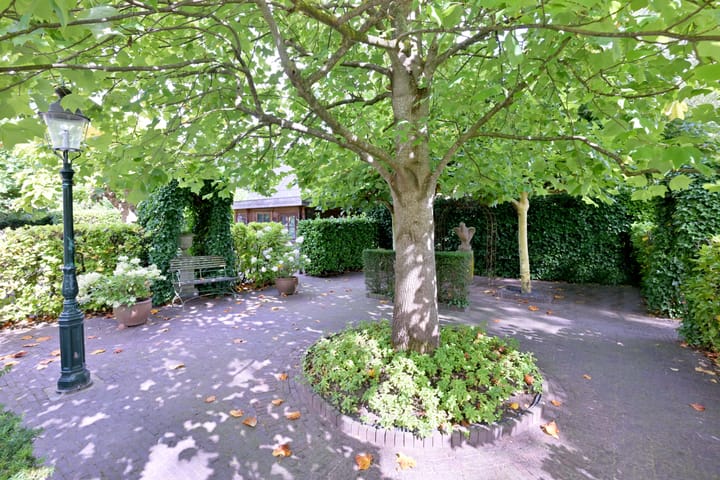 Foto 41 van Esdoornlaan 15