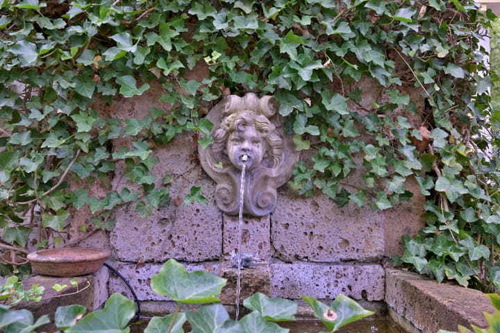 Foto 44 van Esdoornlaan 15