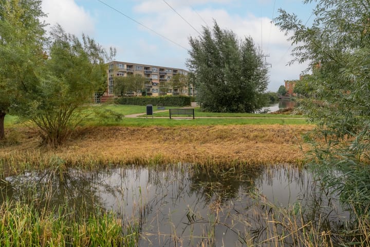 Foto 26 van Schermerhornpark 25